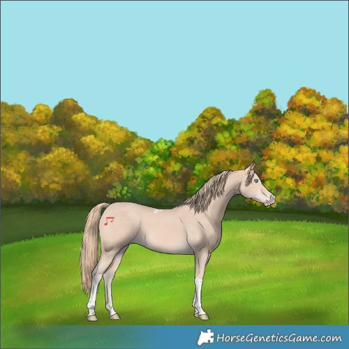 Horse Color:Perlino Tobiano 