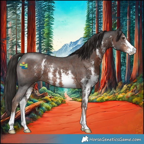 Horse Color:Liver Chestnut Sabino 
