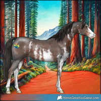 Horse Color:Liver Chestnut Sabino 
