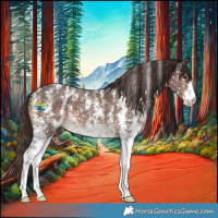 Horse Color:Liver Chestnut Sabino Appaloosa 