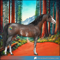 Horse Color:Brown Sabino 