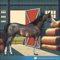 Horse Color:Brown Sabino 
