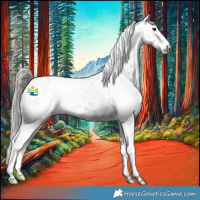 Horse Color:Liver Chestnut Mushroom Sabino 