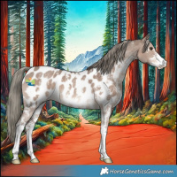 Horse Color:Liver Red Dun Mushroom Sabino Appaloosa 