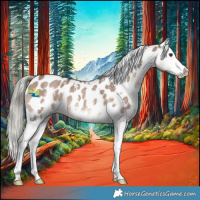 Horse Color:Liver Red Dun Mushroom Sabino Appaloosa 