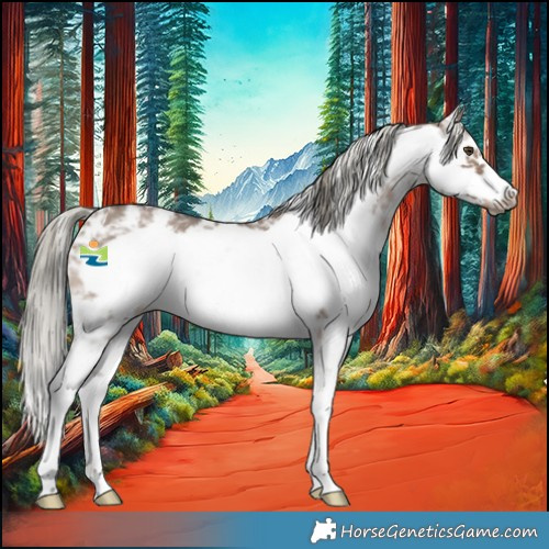 Horse Color:Liver Red Dun Mushroom Sabino Frame 