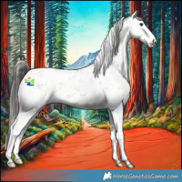 Horse Color:White Spotted Liver Red Dun Sabino 