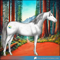 Horse Color:White Spotted Liver Red Dun Sabino 