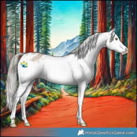 Horse Color:Liver Red Dun Mushroom Sabino Appaloosa 
