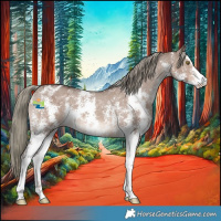 Horse Color:Liver Red Dun Mushroom Sabino Appaloosa 