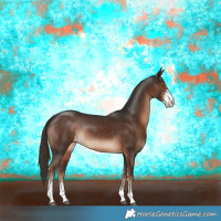 Horse Color:Liver Chestnut Sabino Rabicano 