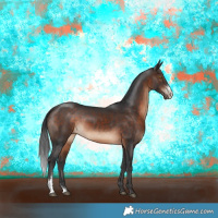 Horse Color:Brown Sabino Rabicano 