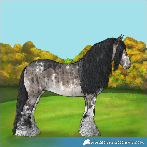 Horse Color:Brown Dun Sabino Brindle 