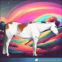 Horse Color:White Spotted Bay Splash  and White Spotted Bay Splash 