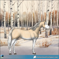 Horse Color:Palomino Roan Splash