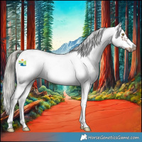 Horse Color:Liver Chestnut Mushroom Sabino Frame 