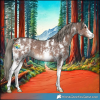 Horse Color:Liver Chestnut Mushroom Sabino 