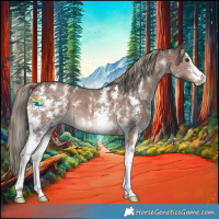 Horse Color:Liver Chestnut Mushroom Sabino 