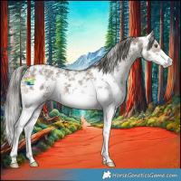 Horse Color:Liver Red Dun Mushroom Sabino 