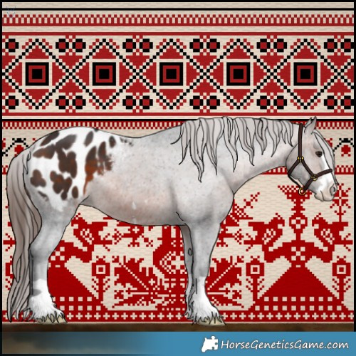 Horse Color:Brown Appaloosa 