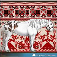 Horse Color:Brown Appaloosa 