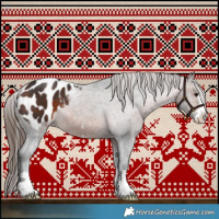 Horse Color:Brown Appaloosa 