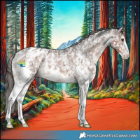 Horse Color:Liver Chestnut Sabino Appaloosa 