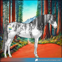 Horse Color:Black Sabino 