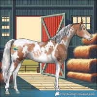 Horse Color:White Spotted Silver Brown Pearl Tobiano 