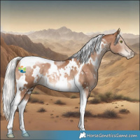 Horse Color:White Spotted Silver Brown Pearl Tobiano 