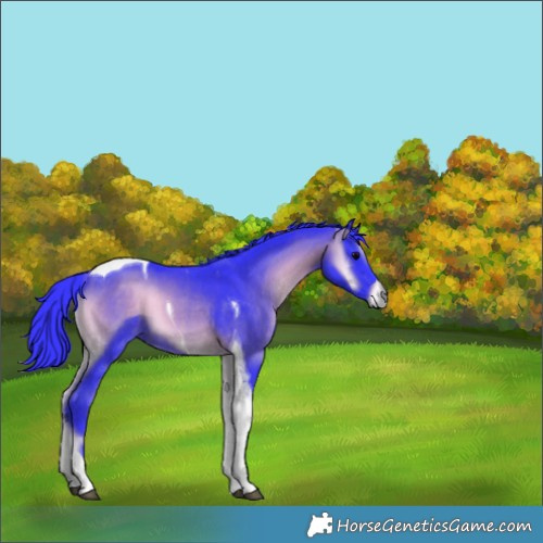 Horse Color:Watercolor Brown Onyx Tobiano 