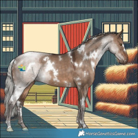 Horse Color:White Spotted Silver Brown Dun 