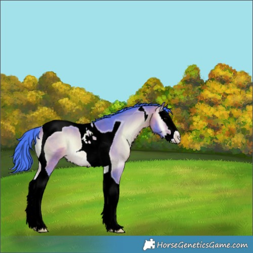 Horse Color:Watercolor Bay Onyx Splash Tobiano 
