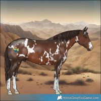 Horse Color:White Spotted Liver Chestnut 