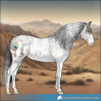 Horse Color:White Spotted Liver Chestnut Sabino 
