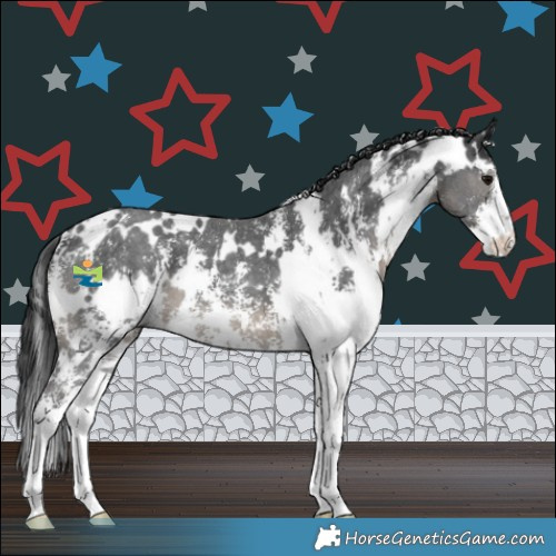 Horse Color:White Spotted Black Sabino 