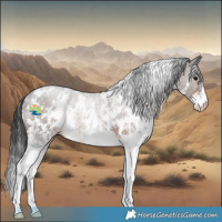 Horse Color:White Spotted Brown Sabino 