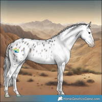 Horse Color:Brown Mushroom Sabino Snowflake Varnish 