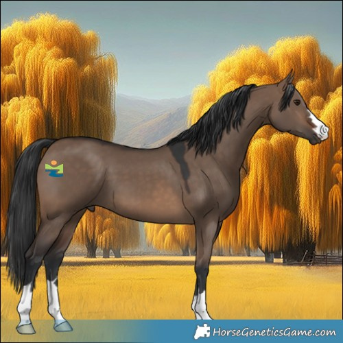 Horse Color:Brown Dun 