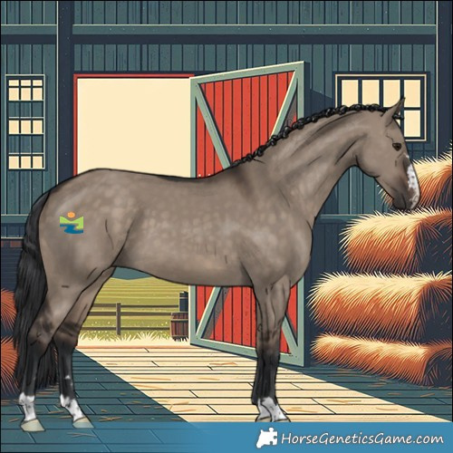 Horse Color:Brown Dun 