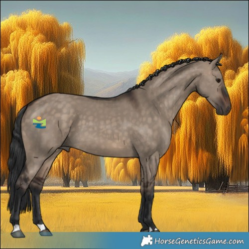 Horse Color:Brown Dun 