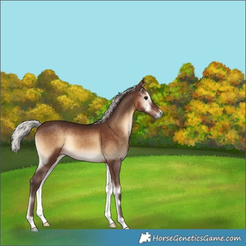 Horse Color:Silver Brown Onyx 