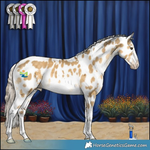 Horse Color:White Spotted Chocolate Palomino Dun Mushroom Appaloosa 