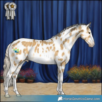 Horse Color:White Spotted Chocolate Palomino Dun Mushroom Appaloosa 