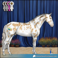 Horse Color:White Spotted Chocolate Palomino Dun Mushroom Appaloosa 