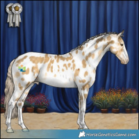 Horse Color:White Spotted Chocolate Palomino Dun Mushroom Appaloosa 