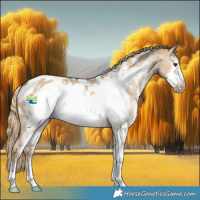 Horse Color:Chocolate Palomino Dun Sabino Frame Appaloosa