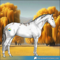 Horse Color:White Spotted Liver Red Dun Sabino Frame Appaloosa 