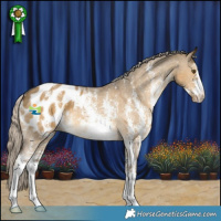 Horse Color:Chocolate Palomino Dun Mushroom Sabino Varnish 