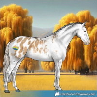 Horse Color:Chocolate Palomino Dun Mushroom Sabino Appaloosa